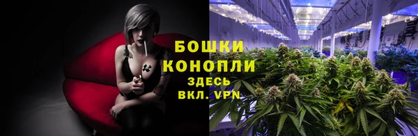 шишки Михайлов